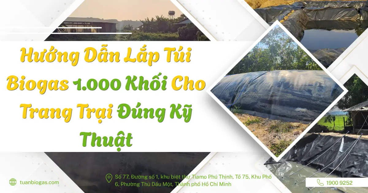Hướng Dẫn Lắp Túi Biogas 1.000 Khối Cho Trang Trại Đúng Kỹ Thuật
